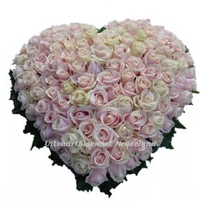 Rouwhart roze rozen excellent